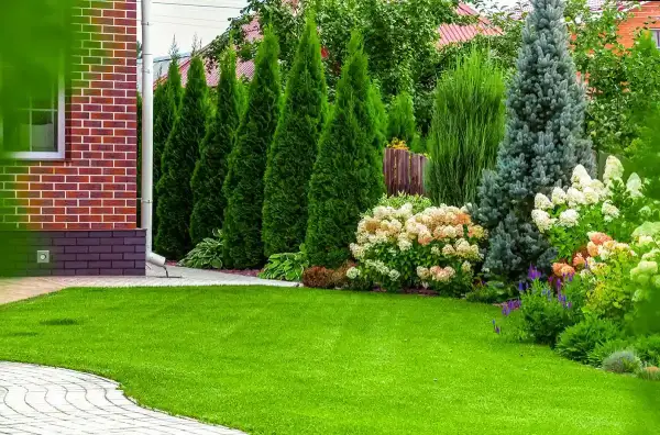Lawn Care